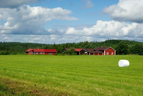 Finland, Ūkis, Miškas, Šienas