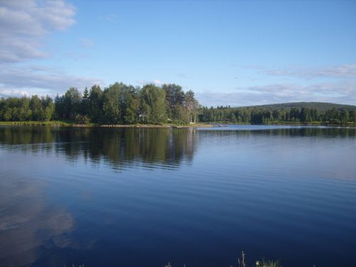 Finland, Ežeras, Apmąstymai, Miškas, Eglė, Miško Ežeras
