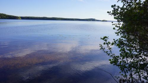 Suomių, Ežeras, Papludimys, Vasara, Vasaros Sezonas, Aukšta Vasara, Yötönyö, Vanduo, Lapuočių Medis