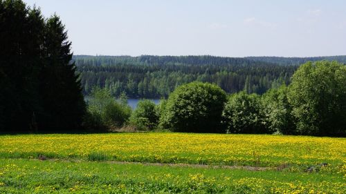 Suomių, Kraštovaizdis, Laukas, Miško Tarvaanrannassa, Voikukkapelto, Ežeras, Vasaros Pradžia