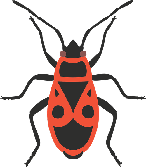 Firebug,  Re,  Vabzdys,  Pyrhocorris Apterus,  Hemiptera,  Gyvūnas,  Nemokama Vektorinė Grafika,  Nemokama Iliustracijos