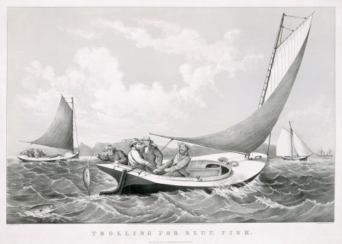 Fischer, Žvejyba, Burlaiviai, Buriu, Žuvų Žaidimas, 1866, Juoda Ir Balta, Piešimas