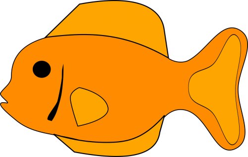 Žuvis, Oranžinė, Gyvūnas, Atogrąžų, Akvariumas, Nemokama Vektorinė Grafika
