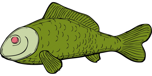 Žuvis, Žalias, Vandens, Pelekai, Skalė, Nemokama Vektorinė Grafika