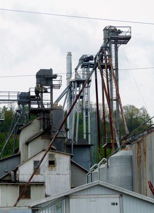 Žuvų Maisto Fabrikas, Žuvies Maistas, Maistas, Gamykla, Žuvis, Gamyba, Augalas, Industrija, Mašinos, Mašina