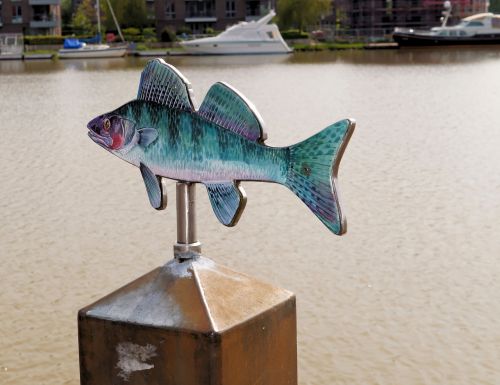 Žuvų Skulptūra, Žuvis, Menas, Metalas, Uostas, Ornamentas, Akių Gaudytojas