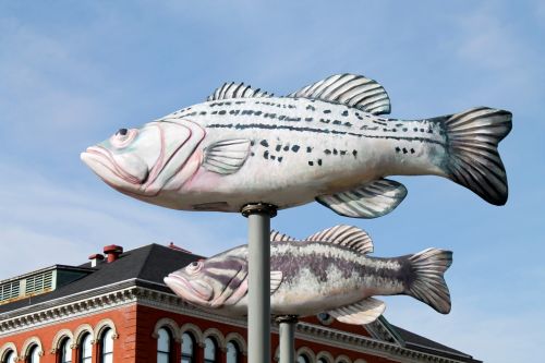 Žuvis,  Skulptūra,  Menas,  Abstraktus,  Mėlynas & Nbsp,  Dangus,  Pitsburge,  Žuvų Skulptūra - Arti