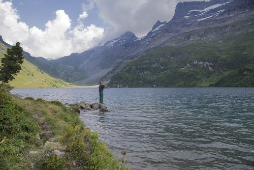 Žvejys,  Bergsee,  Engstle Alpsee,  Gamta
