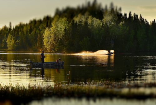 Žvejys, Ežeras, Medžiai, Kraštovaizdis, Gamta, Vanduo, Québec