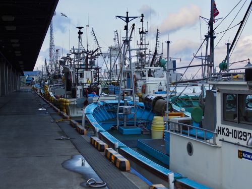 Žvejybos Laivas, Žvejybos Uostas, Hokaidas