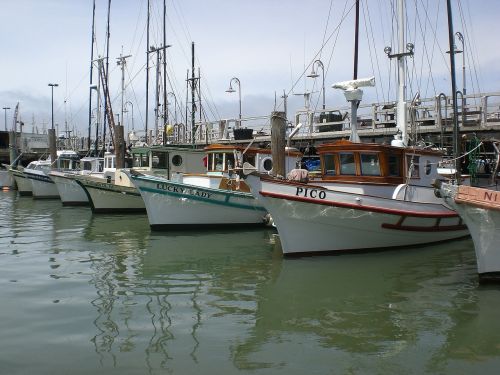 Žvejybos Laivai, San Franciskas, Vandenynas, Žvejybos Prieplauka, Uostas, Ramiojo Vandenyno Regionas