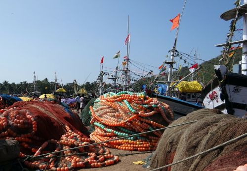 Žvejybos Tinklai, Žvejyba, Uostas, Žvejybos Laivai, Tinklai, Indija