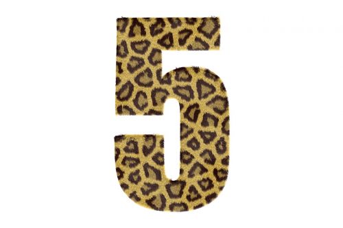 Penki, Numeris, Modelis, Tekstūra, Leopardas, Tekstas, 5