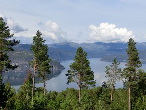 Fjordas, Vaizdas, Medžiai, Debesys, Dangus, Viršuje, Gamta, Kraštovaizdis