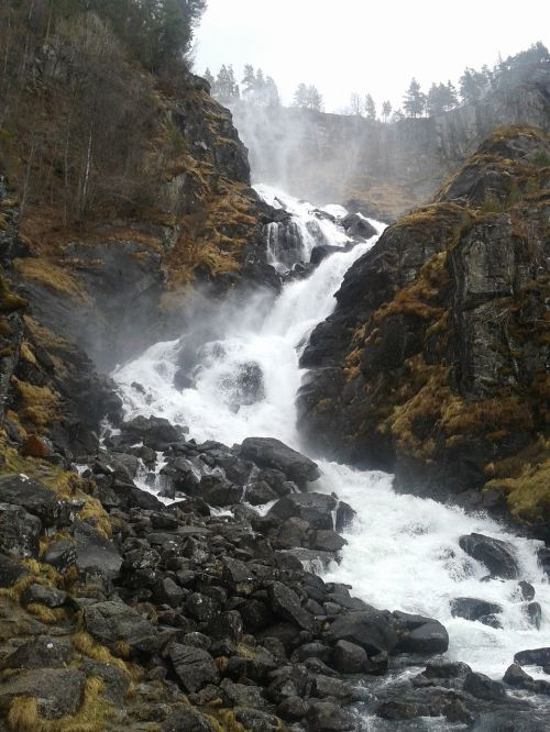 Fjordas, Krioklys, Gamta, Kraštovaizdis, Norvegija