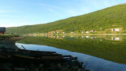 Fjordas, Norvegija, Kraštovaizdis, Miškas
