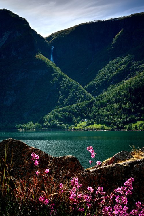 Fjord,  Kalnų,  Pobūdį,  Krioklys,  Norvegija,  Gėlės