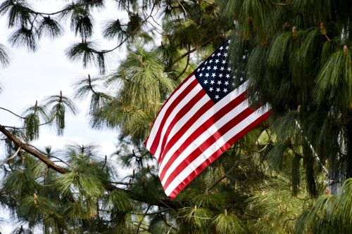 Vėliava, Usa, Amerikietis, Usa Flag, Balta, Mėlynas, Raudona, Simbolis, Nacionalinis, Patriotinis, Žvaigždės, Patriotizmas, Amerikos Vėliava, Juostelės, Nepriklausomumas
