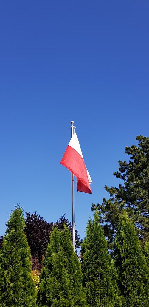 Vėliava,  Lenkija,  Patriotizmas