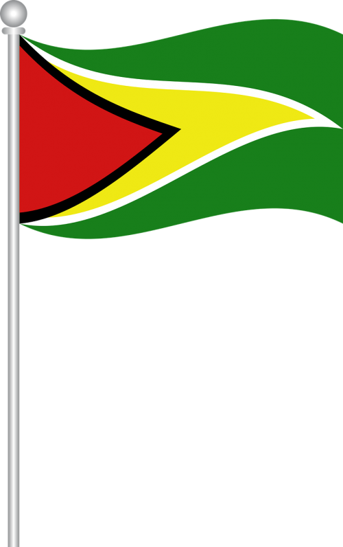 Guyana Vėliava, Vėliava, Guyana, Pasaulis, Tauta, Nemokama Vektorinė Grafika