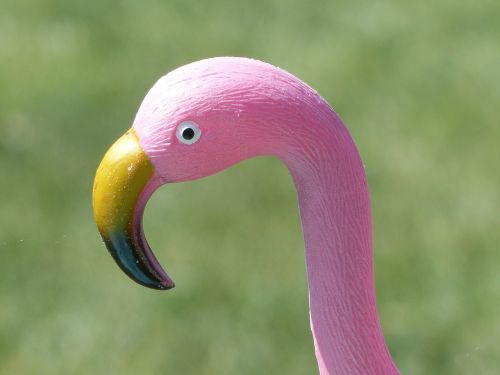 Paukštis, Flamingo, Plastmasinis, Vasara, Sodas, Rožinis