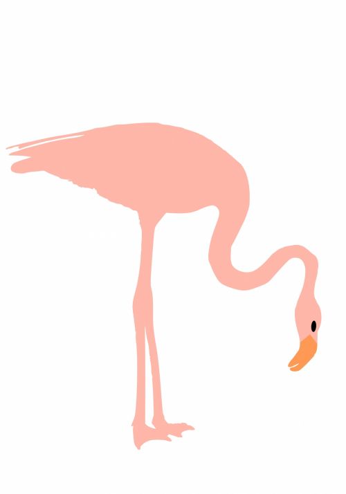 Flamingo,  Rožinis,  Rožinis & Nbsp,  Flamingas,  Menas,  Iliustracija,  Paukštis,  Gyvūnas,  Gamta,  Scrapbooking,  Laisvas,  Viešasis & Nbsp,  Domenas,  Flamingo