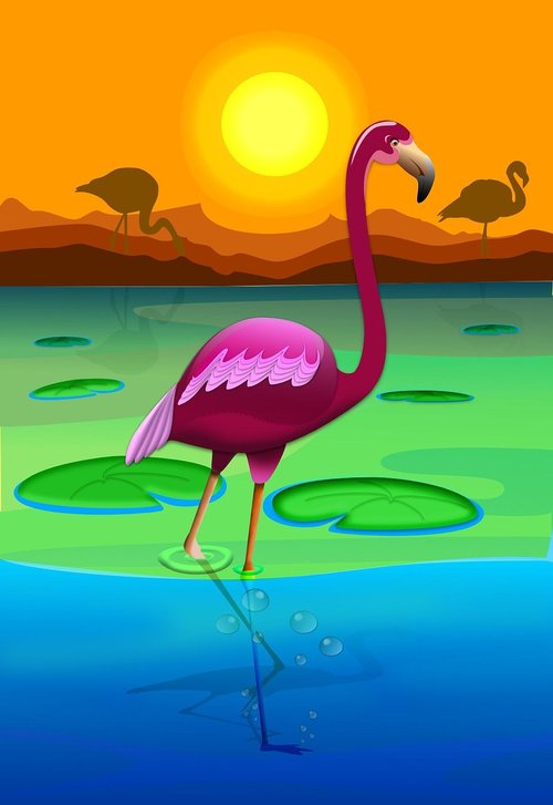 Flamingo,  Gyvūnai,  Vektorgrafik,  Nemokama Iliustracijos