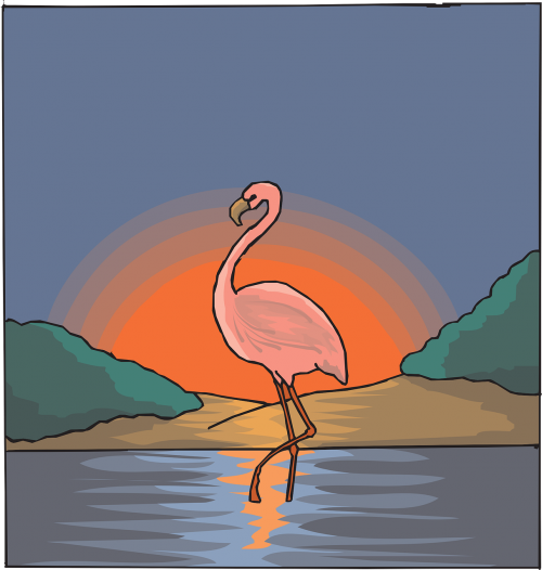 Flamingo, Vanduo, Rožinis, Dangus, Paukštis, Saulėlydis, Nemokama Vektorinė Grafika
