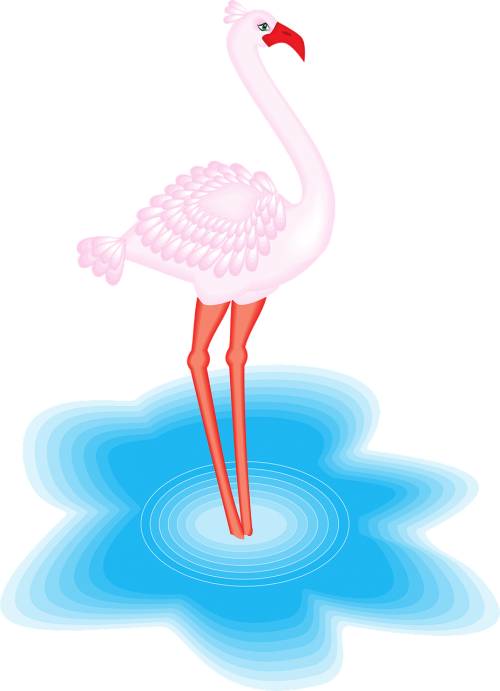 Flamingo, Paukštis, Vanduo, Sparnai, Plunksnos, Egzotiškas, Fauna, Paukštis, Wader, Rožinis, Nemokama Vektorinė Grafika