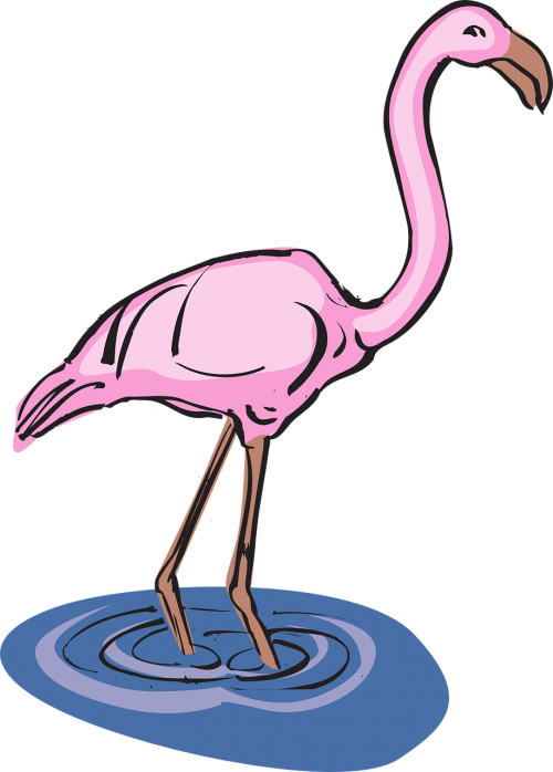 Flamingo, Vanduo, Paukštis, Sparnai, Ilgai, Kaklas, Stovintis, Kojos, Fauna, Egzotiškas, Rožinis, Nemokama Vektorinė Grafika