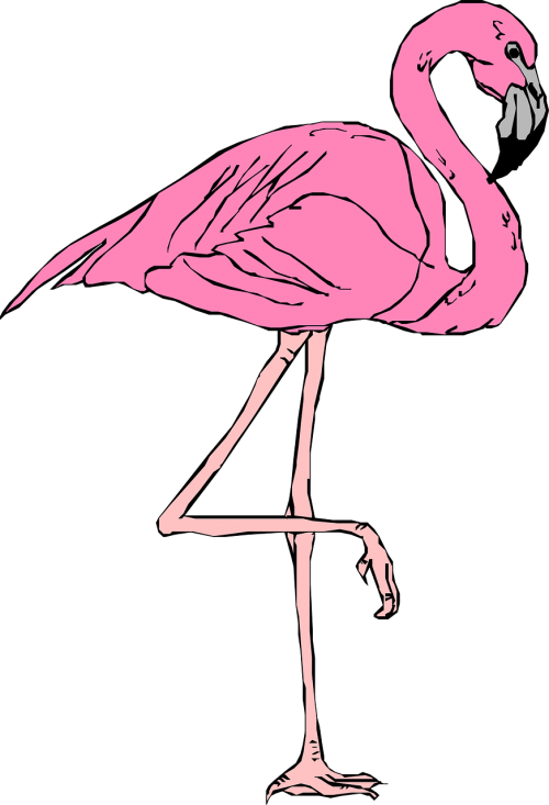 Flamingo, Rožinis, Paukštis, Spalvinga, Violetinė, Plunksnos, Ilgai, Sparnai, Kojos, Kaklas, Stovintis, Pakelta Kojelė, Laukinė Gamta, Flamingas, Paukštis, Vienas, Vienišas, Nemokama Vektorinė Grafika