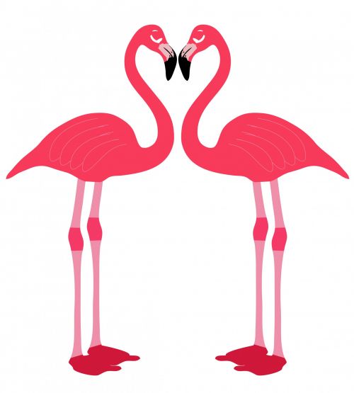 Flamingo,  Flamingos,  Rožinis,  Paukštis,  Paukščiai,  Meilė,  Širdis,  Figūra,  Romantika,  Animacinis Filmas,  Menas,  Iliustracija,  Iliustracijos,  Scrapbooking,  Gyvūnas,  Gyvūnai,  Balta,  Fonas,  Flamingo Paukščiai Myli Širdį