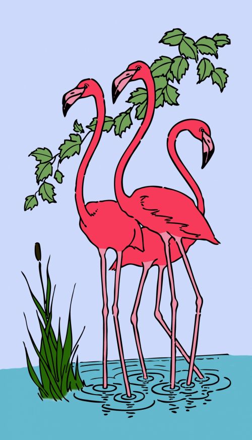 Flamingo,  Flamingos,  Iliustracija,  Piešimas,  Vintage,  Lineart,  Line & Nbsp,  Menas,  Menas,  Spalvinga,  Paukštis,  Paukščiai,  Vanduo,  Stovintis,  Retro,  Gyvūnas,  Gamta,  Scrapbooking,  Laisvas,  Rožinis,  Viešasis & Nbsp,  Domenas,  Flamingo Spalvinga Iliustracija