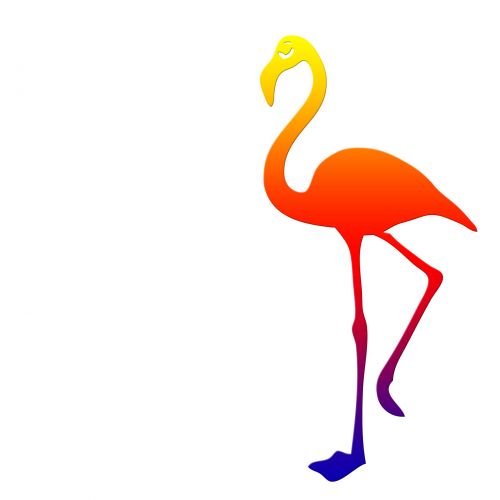Flamingo,  Paukštis,  Spalvinga,  Egzotiškas,  Logotipas,  Menas,  Iliustracija,  Izoliuotas,  Balta,  Fonas,  Simbolis,  Scrapbooking,  Laisvas,  Viešasis & Nbsp,  Domenas,  Flamingo Spalvingas Baltas Fonas