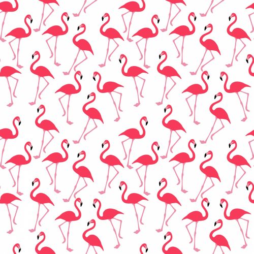 Flamingo,  Flamingos,  Tapetai,  Popierius,  Fonas,  Besiūliai,  Modelis,  Dizainas,  Menas,  Iliustracija,  Scrapbooking,  Paukštis,  Paukščiai,  Laisvas,  Viešasis & Nbsp,  Domenas,  Flamingo Tapetų Fonas