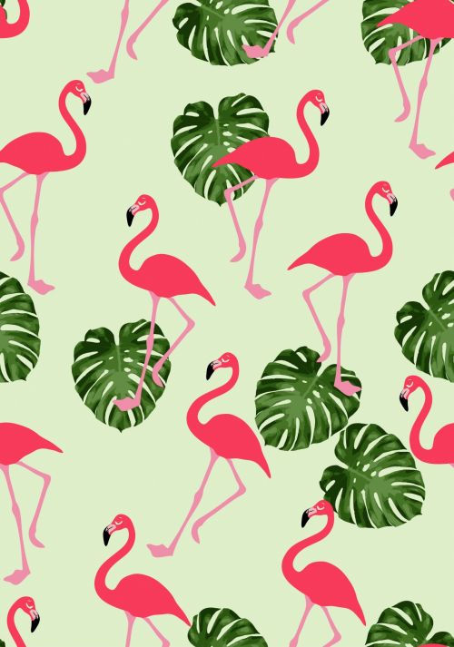 Flamingo,  Tapetai,  Popierius,  Fonas,  Modelis,  Dizainas,  Paukštis,  Paukščiai,  Rožinis,  Besiūliai,  Lapai,  Lapai,  Retro,  Funky,  Menas,  Iliustracija,  Mielas,  Scrapbooking,  Laisvas,  Viešasis & Nbsp,  Domenas,  Flamingo Tapetų Raštas Besiūliai