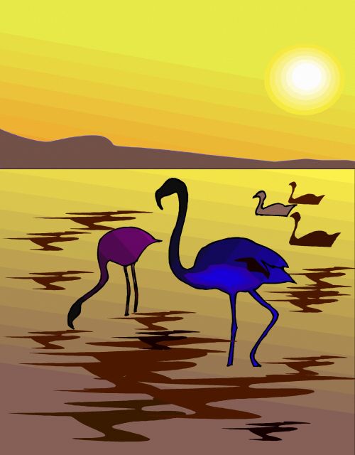 Paukštis,  Gamta,  Iliustracija,  Piešimas,  Išraiška,  Eskizas,  Flamingo,  Flamingos 2