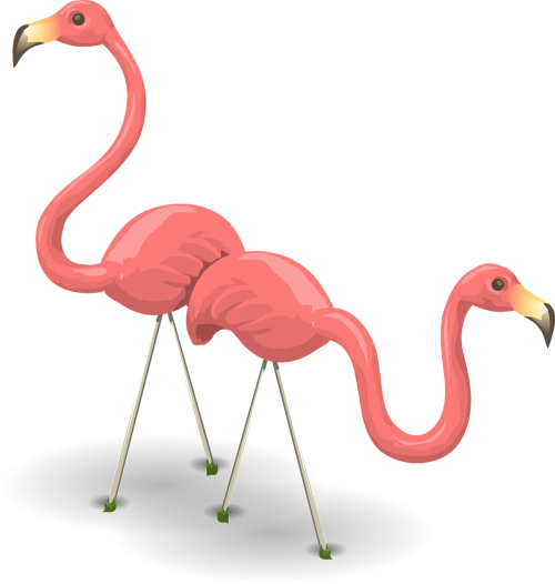 Flamingos, Paukščiai, Rožinis, Flamingas, Laukinė Gamta, Phoenicopterus, Paukščiai, Phoenicopteridae, Fauna, Du Paukščiai, Bendravimas, Stovintis, Pora, Nemokama Vektorinė Grafika