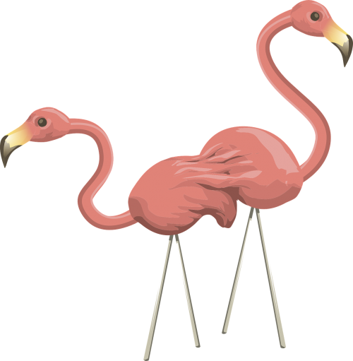 Flamingos, Rožinis, Paukščiai, Laukinė Gamta, Du, Pora, Bendravimas, Gyvūnai, Paukščiai, Baltas Fonas, Nemokama Vektorinė Grafika