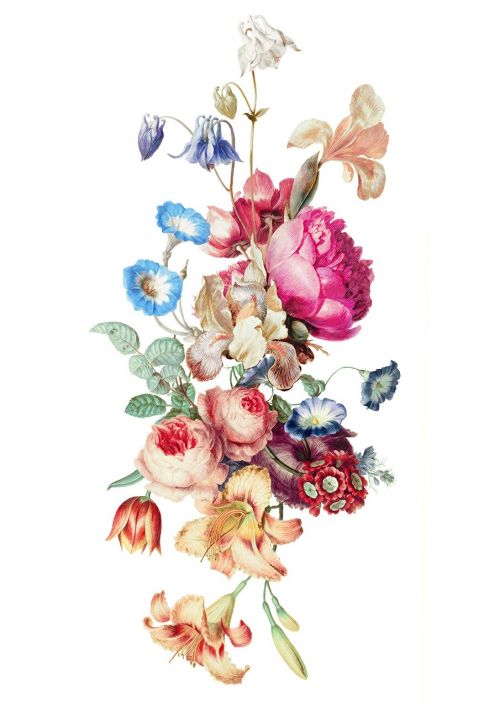 Fleur, Vintage, Gėlių, Dažymas, Atsargos, Botanikos, Lapai, Žiedlapiai, Boquet
