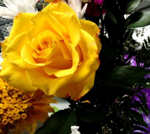 Gėlės,  Puokštė,  Geltona,  2016 Gėlės # 10