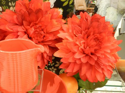 Gėlės,  Patiekalai,  Oranžinė,  Gėlės Ir Skalbimo Mašina (2)
