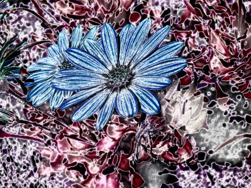 Gėlės,  Mėlynas,  Scrapbooking,  Stilizuotos Gėlės # 29