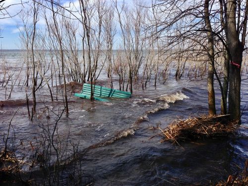 Potvynis, Plikas Medžiai, Parko Suoliukas, Québec