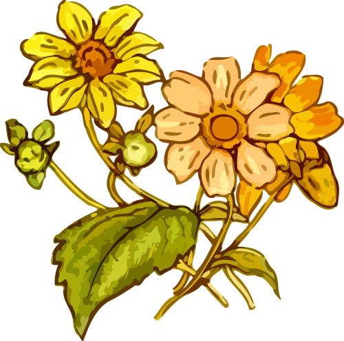Flora, Gėlių, Gėlė, Augalas, Nemokama Vektorinė Grafika