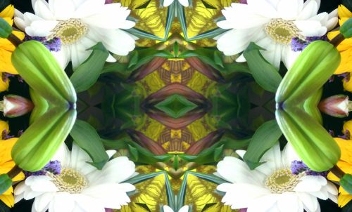 Fonas,  Tapetai,  Kaleidoskopas,  Gėlė,  Gėlės,  Gėlių,  Gėlių Kaleidoskopo Fonas