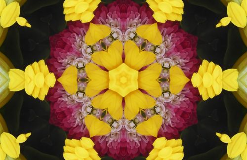 Fonas,  Tapetai,  Kaleidoskopas,  Gėlė,  Gėlės,  Gėlių,  Geltona,  Gėlių Kaleidoskopo Fonas