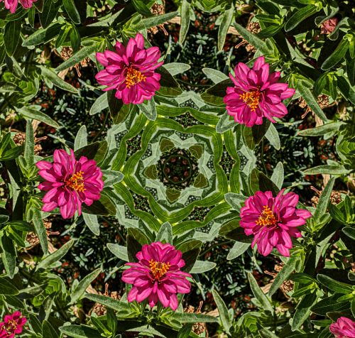 Fonas,  Tapetai,  Gėlė,  Gėlės,  Gėlių,  Kaleidoskopas,  Modelis,  Dizainas,  Gėlių Kaleidoskopo Fonas