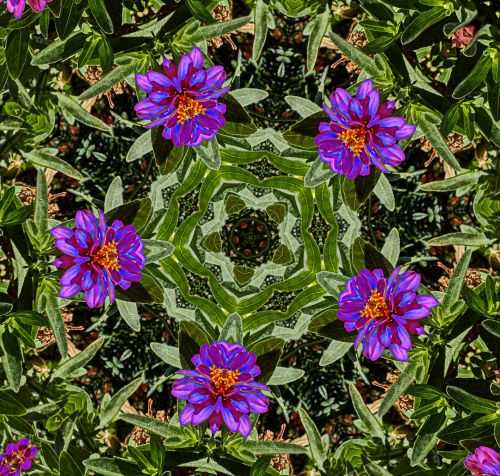 Fonas,  Tapetai,  Gėlė,  Gėlės,  Gėlių,  Kaleidoskopas,  Modelis,  Dizainas,  Gėlių Kaleidoskopo Fonas