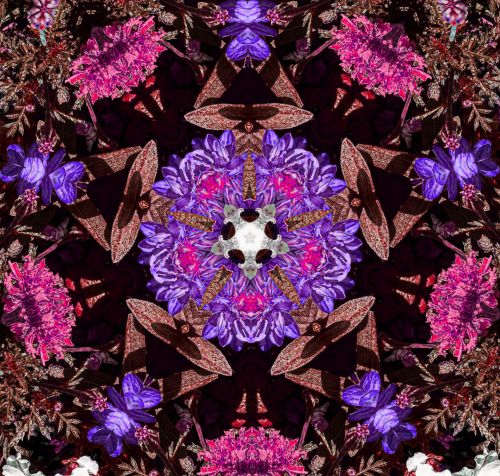 Fonas,  Tapetai,  Gėlė,  Gėlės,  Gėlių,  Kaleidoskopas,  Modelis,  Dizainas,  Rožinis,  Violetinė,  Gėlių Kaleidoskopo Fonas